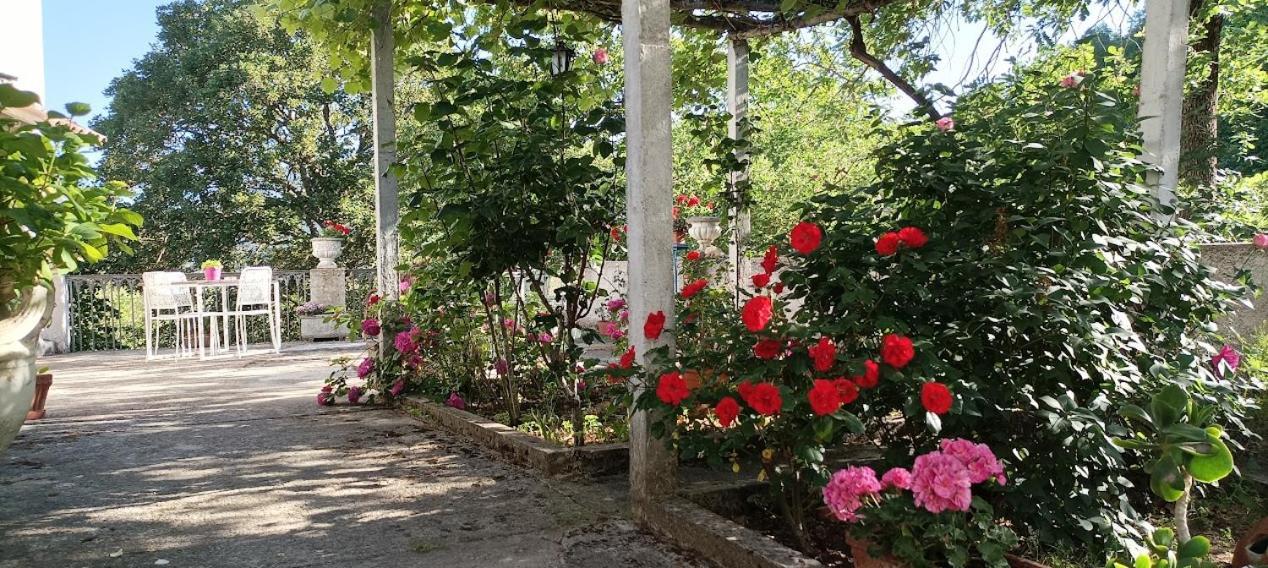 Casavacanze La Vigna Arenabianca Экстерьер фото